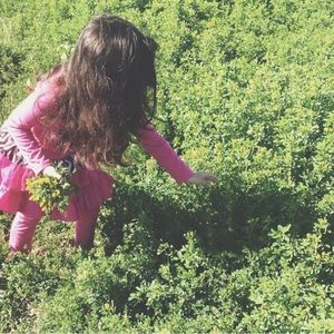 Meet your Posher, Eden